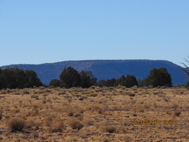 9 Junipetrwood Ranch, Ash Fork, AZ 86320 - photo 5