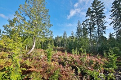 2761 Silent Cedars Ln, Langley, WA 98260 - photo 4