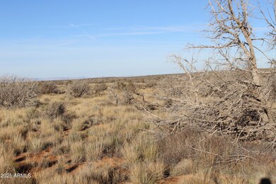 Lot 224 Ccr Unit 2 -- unit 224, Heber, AZ 85928 - photo 3