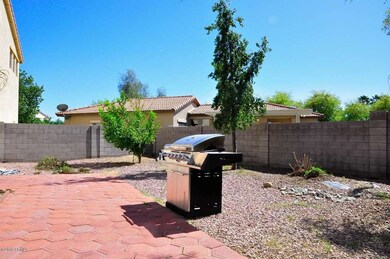 Backyard2