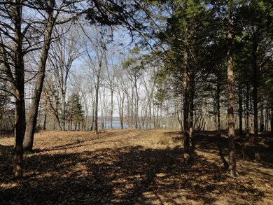 Lot 25 Lake Cottage Ln, Williams Township, MO 65747 - photo 5