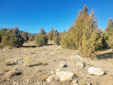 1872 S Liberty Dr, Hatch, UT 84735 - photo 6