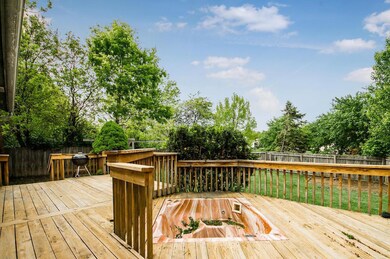 C - 2896 Scotch Pine 085