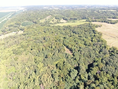 1 Howley Branch, Forest City, MO 64451 - photo 3