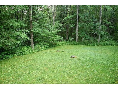 Back Yard.