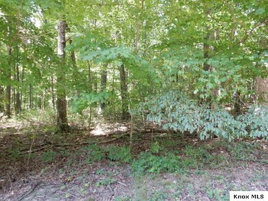 Lot 374 Highland Hills Subdivision, Howard, OH 43028 - photo 6