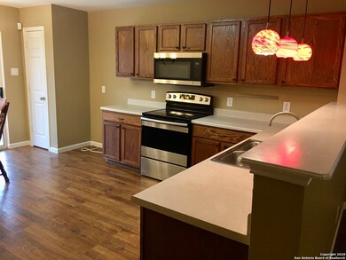 25027 Longbranch Run, San Antonio, TX 78261 - photo 6