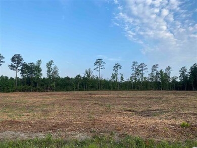 Lot 1 U S 701 Hwy unit 6190 Highway 701 S, Conway, SC 29526 - photo 2
