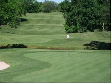 11065 Juniper Dr, Whitney, TX 76692 - photo 3