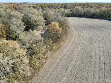 00 Patricia Rd, Germantown Township, IL 62245 - photo 5