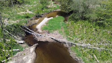 Us 23 Lot unit WP001, Ossineke, MI 48381 - photo 3