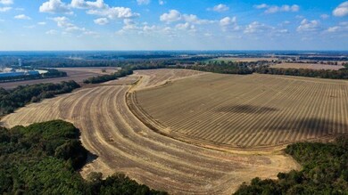 unlisted-address, Headland, AL 36345 - photo 7