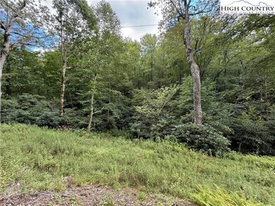 tbd Timber Rock Rd, Blowing Rock, NC 28607 - photo 2
