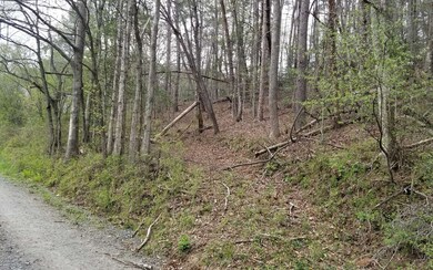 171 Branch Trail, Ellijay, GA 30540 - photo 4