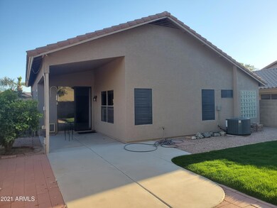 Back Patio
