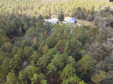 2549 Pine St, Pelion, SC 29123 - photo 3