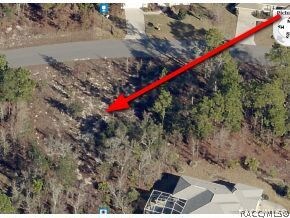 6 Primula Ct W, Homosassa, FL 34446 - photo 6