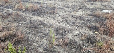 TBD Ropers Ln unit 13, Bandera, TX 78003 - photo 2