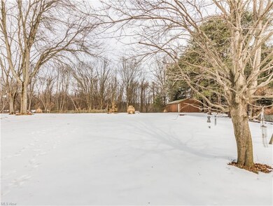 Rear  yard