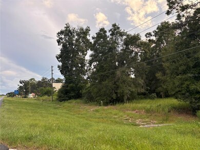 0 S Us Hwy 301 unit MFRA4632821, Belleview, FL 34420 - photo 4