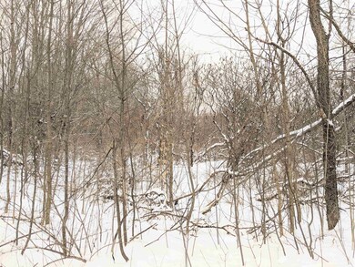 1181 E Hill Rd, Peacham, VT 05821 - photo 2