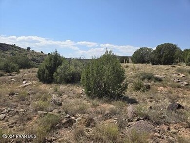 17 Outback Rd, Ash Fork, AZ 86320 - photo 3