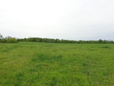 Nice Open Land!
