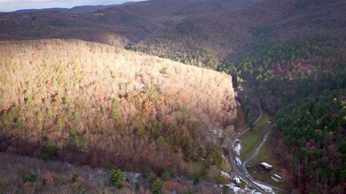 21555 Overly Hollow Rd, Plains, VA 22811 - photo 2