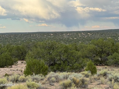 171 E Witch Well Ranches -- unit 171, Saint Johns, AZ 85936 - photo 7