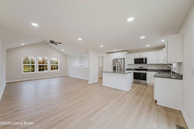 170 Rock Ridge Rd, Brandenburg, KY 40108 - photo 5