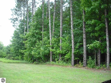 Parcel F3A Jackson Creek Rd, Kingsley, MI 49649 - photo 2