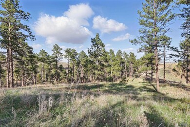 Lot17A W Minnesota St, Rapid City, SD 57701 - photo 5