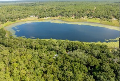 250 W West Lake Dr, Hawthorne, FL 32640 - photo 4