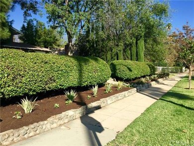 Curb Appeal & Privacy from the front of home!