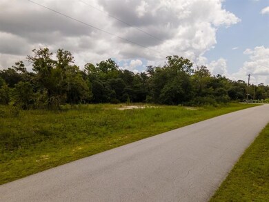 0 SW Lobelia Ct unit O6044520, Dunnellon, FL 34431 - photo 3