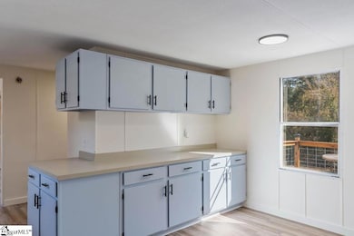 12077 Highway 25 Business, Ware Shoals, SC 29692 - photo 6