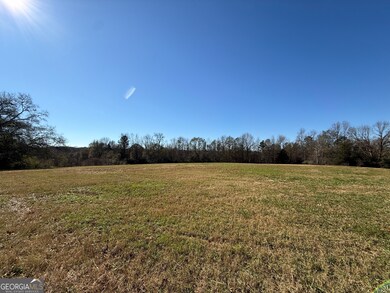 0 E Deer Run Trail unit 10651119, Lavonia, GA 30553 - photo 7