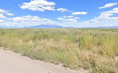 Blanca, Lasauses, CO 81151 - photo 2