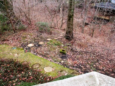 Nature Surrounds