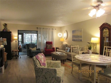 Living / Dining Layout