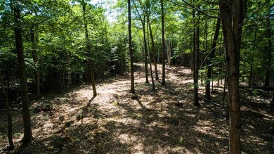 157 Banjo Dr unit 1, Thornton, NH 03285 - photo 6