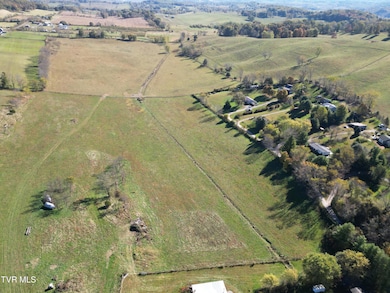 Tbd Springfield Dr, Meadowview, VA 24361 - photo 5