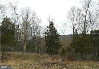 0 Noland Ridge Rd unit 1000215419, Slanesville, WV 25444 - photo 6