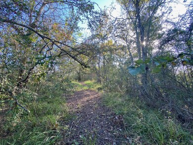 0 Cowan Rd unit 34856976, Algoa, TX 77511 - photo 4