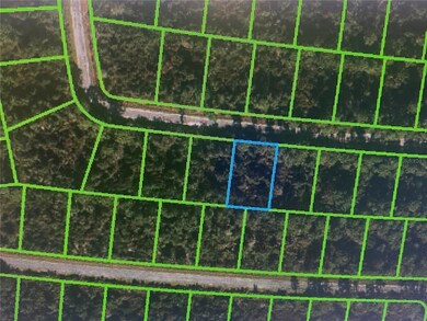 7385 Happyface St, Sebring, FL 33872 - photo 3