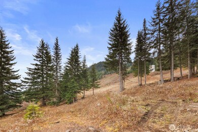 321 Innsbruck Dr, Snoqualmie Pass, WA 98068 - photo 7