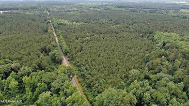 02 Highway 28, Mize, MS 39116 - photo 6