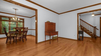 9-web-or-mls-DSC01885