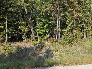 L20,21,22 B6 Lakota Trace, Cherokee Village, AR 72529 - photo 7