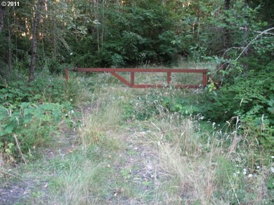 0 S Bird Rd, Molalla, OR 97038 - photo 4
